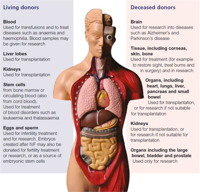 What You Lose When You Sign That Organ Donor Card — Shocking! What You Lose When You Sign That Organ Donor Card — Shocking!
