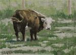 A Backwards Glance, 6x8, oil, $75, miniature, western, cow, signed - Posted on Friday, January 9, 2015 by Sean Conrad