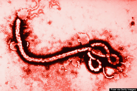 EBOLA VIRUS UNWELCOME IN THE AMERICANS: CREATED IN AMERICAN LABS