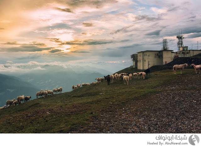 سلسلة ساحرة من المناظر الطبيعية لجبال الألب الجنوبية (24 صورة) 9_223