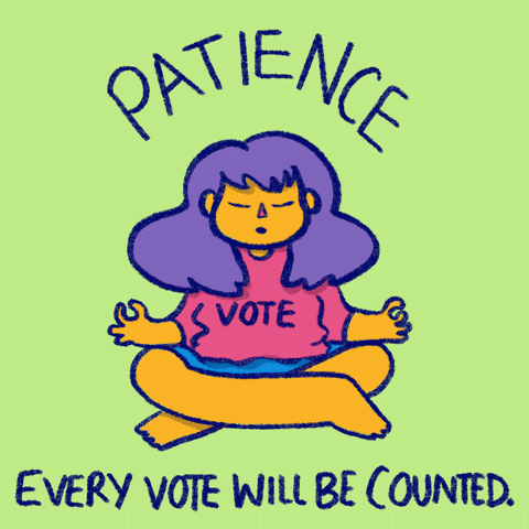 Patience. Every vote will be counted.