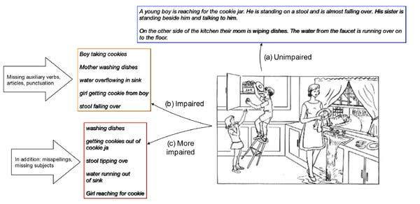 Examples from the Framingham Heart Study, including (a) an unimpaired sample, (b) an impaired sample showing telegraphic speech and lack of punctuation and (c) an even more impaired sample showing in addition significant misspellings and minimal grammatic complexity.