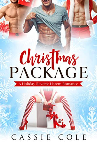 Cover for 'Christmas Package'