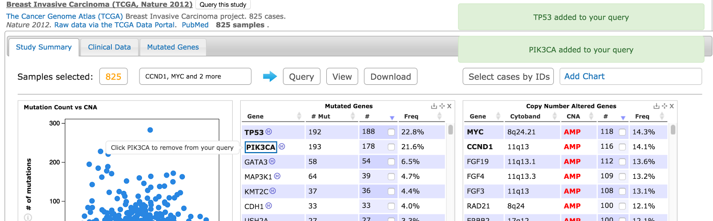 query gene in study view