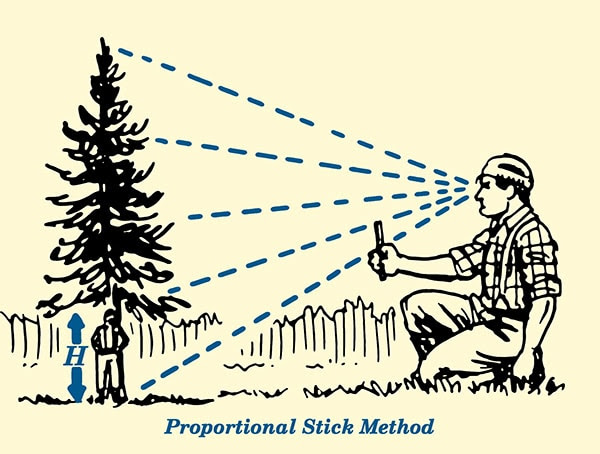 proportional stick method for estimating tree height illustration