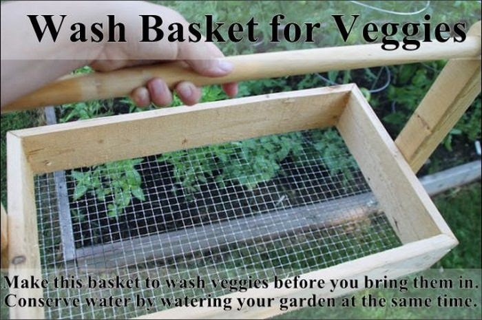 garden tips