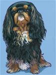 King Charles Spaniel - Posted on Wednesday, March 4, 2015 by Nadi Spencer