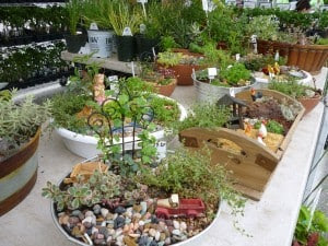 Courtesy photo. Another photo of the fairy gardens for sale at Marks Farm booth.