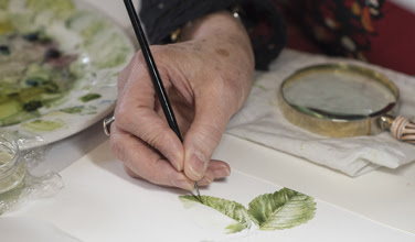 Image of a hand drawing a leaf