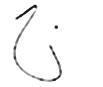 Firma Pablo Freire,