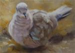 Pretty Pigeon - Posted on Tuesday, March 3, 2015 by Pamela Poll