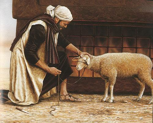 Understanding Sacrifices and Offerings, and whether they are done away in  Christ | Bible things in Bible ways