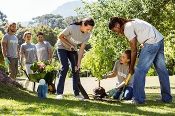 a group of men and women, some with shovels, planting a tree on a green, grassy area