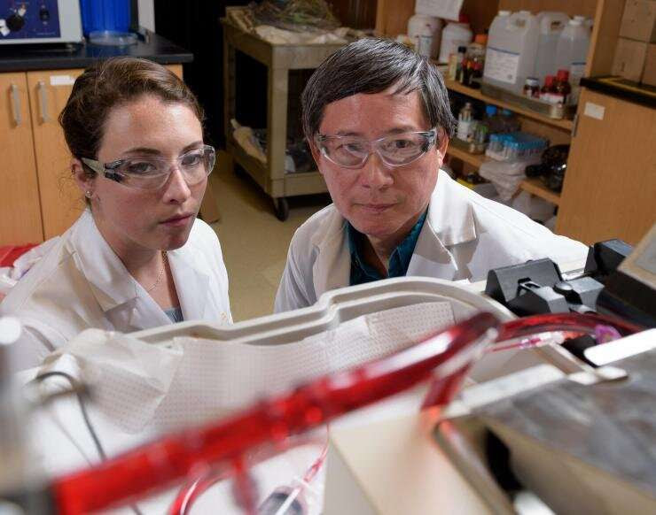 Georgia Tech researchers discover promising new treatment for dangerous thrombosis