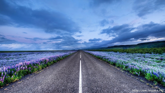 Iceland-Road-Desktop-Background (700x393, 254Kb)