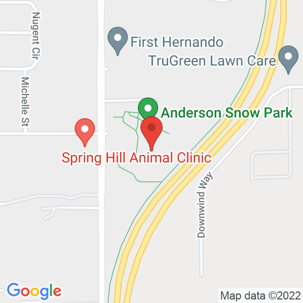 Anderson Snow Park Map