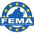 FEMA's website