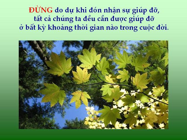 http://www.dongcong.net/photogallery/Cham-Ngon_CS/cs_clip_image033.jpg