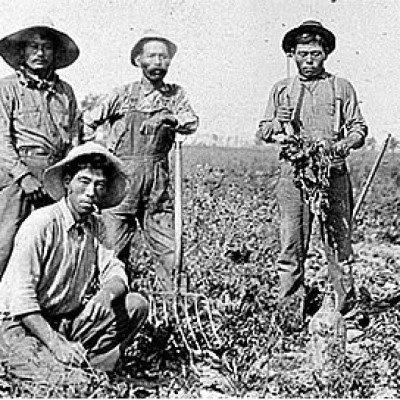 Source: United Food and Commercial Workers 324. (n.d.) 1903 Oxnard Beet Sows of Seeds of Diversity. Retrieved from: https://www.ufcw324.org/About_Us/Mission_and_History/Labor_History/1903_Oxnard_Beet_Sows_the_Seeds_of_Diversity/
