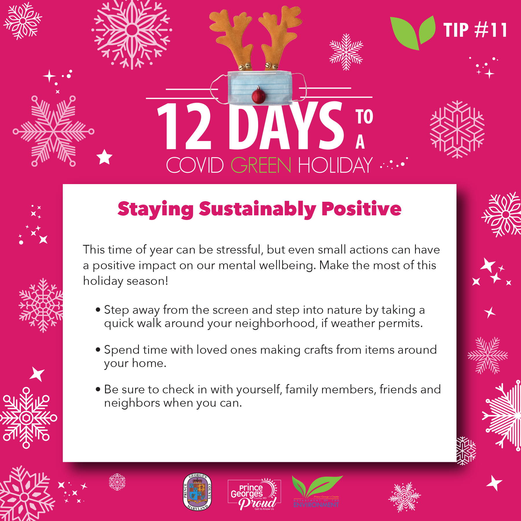 Day 11 of 12 Days Day 11 of 12 Days