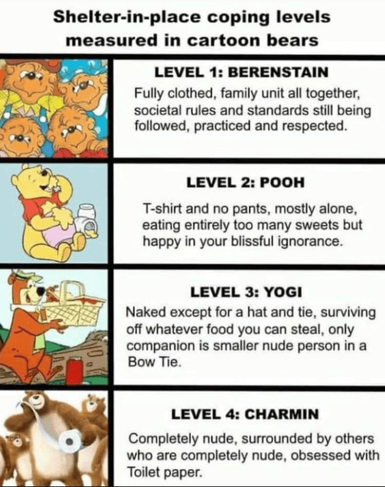 bear levels