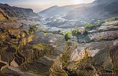 Yuanyang Hani Rice Terraces, China