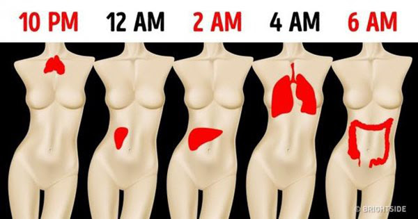 Giấc ngủ là tấm gương phản chiếu sức khỏe lục phủ ngũ tạng: Sáng nào cũng tỉnh giấc đúng giờ này, coi chừng tim gan phổi đang cầu cứu - Ảnh 1.