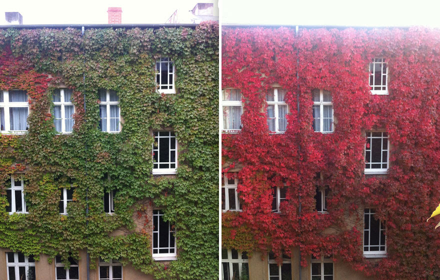 http://www.boredpanda.com/before-and-after-autumn-photography/?image_id=same-place-different-season-before-after-4.jpg