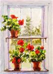 Geraniums in an Old Maine Window - Posted on Monday, February 2, 2015 by Shelley Koopmann