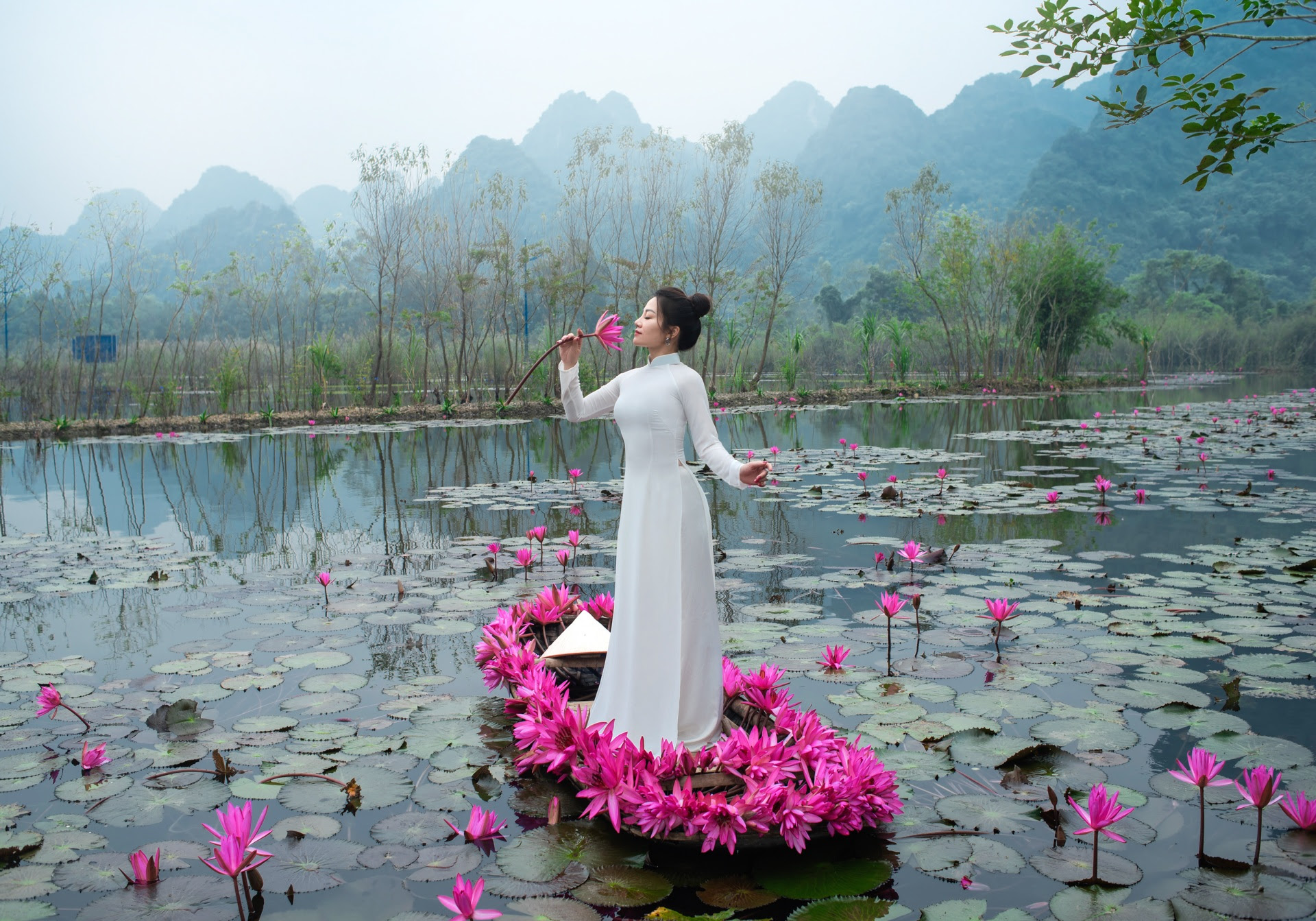 Mùa hoa súng suối Yến hút hồn du khách thập phương - 14 Mùa hoa súng suối Yến hút hồn du khách thập phương - 14
