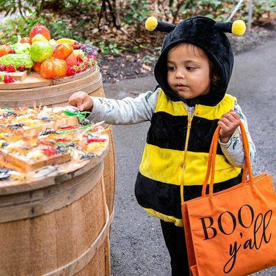 Costumed kid with candy