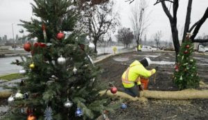 Man Screaming ‘Allahu Akbar’ Cuts Down French Town’s Christmas Tree