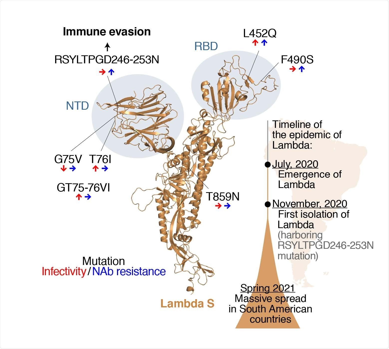 Study: SARS-CoV-2 Lambda variant exhibits higher infectivity and immune resistance