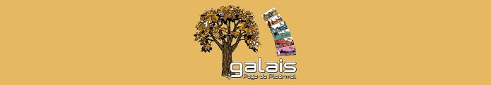 logo - Copie (2)
