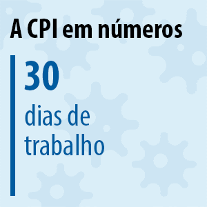 A CPI em números