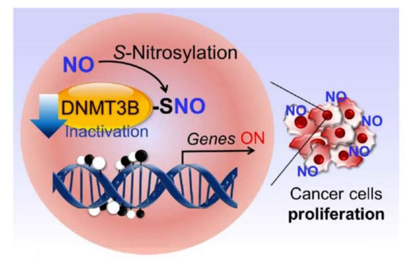 Chemically “poisoned” protein acts as a molecular switch to spur cancer formation