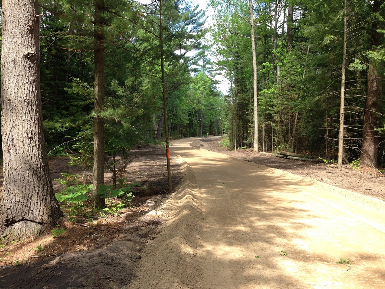In 2017, a 2-mile segment of Michigan's Iron Belle Trail at North Higgins Lake was completed.