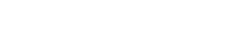 Slingshot® - The Ultimate Joyride™