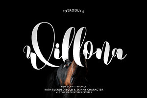 Willona Typeface