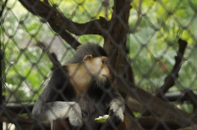 Justiça ordena que
Itapetinga/BA regularize Parque Zoobotânico da
Matinha