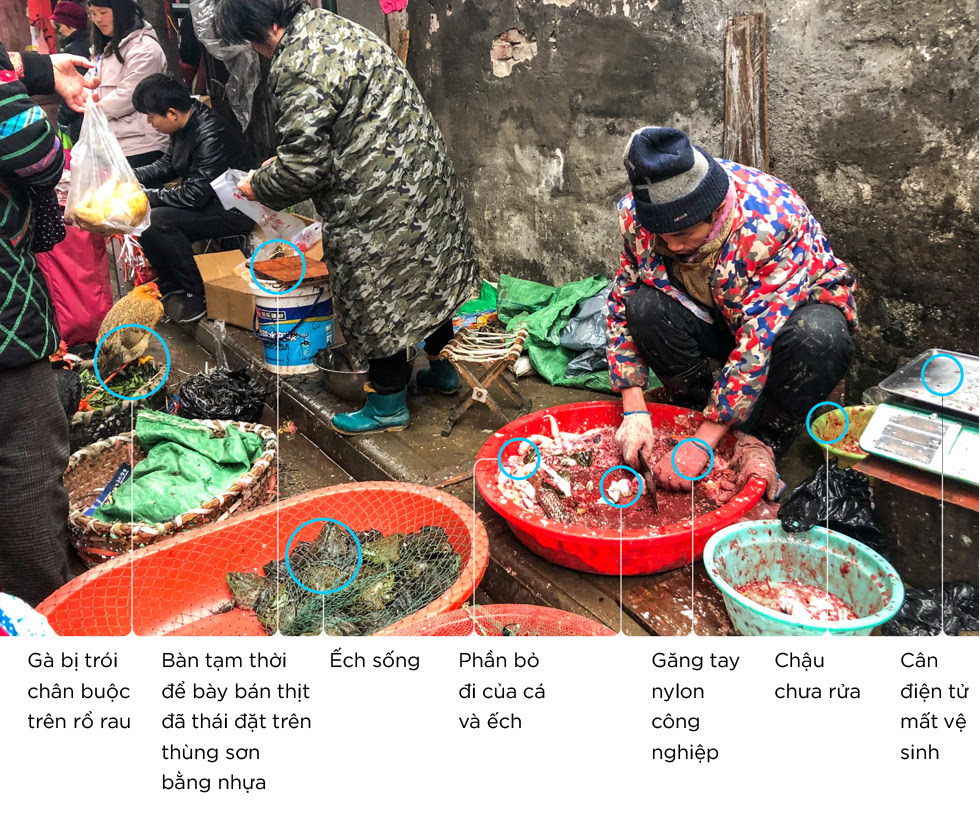Những người tuyệt vọng ở Vũ Hán và đại dịch Corona nhìn từ đồ họa trực quan - Ảnh 31. Những người tuyệt vọng ở Vũ Hán và đại dịch Corona nhìn từ đồ họa trực quan - Ảnh 31.