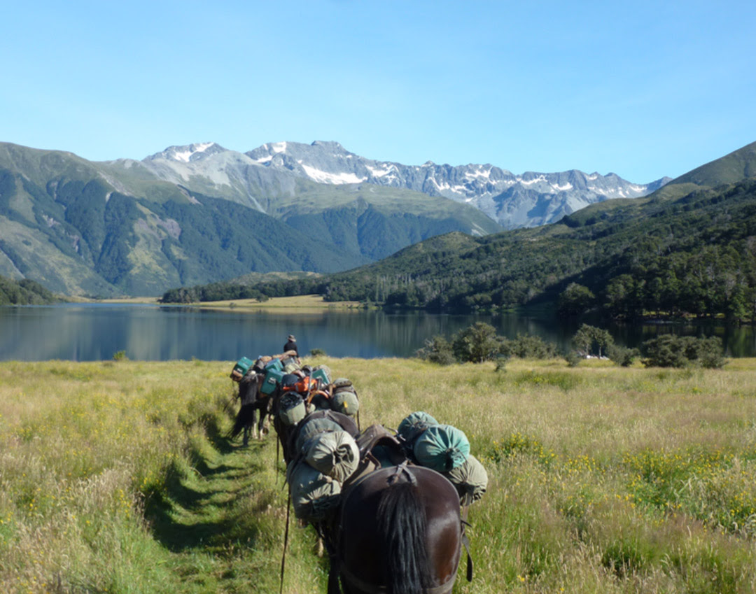Horse riding holiday