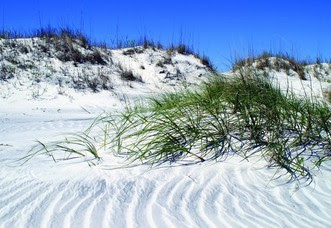 Dunes at Little Talbot Island State Park