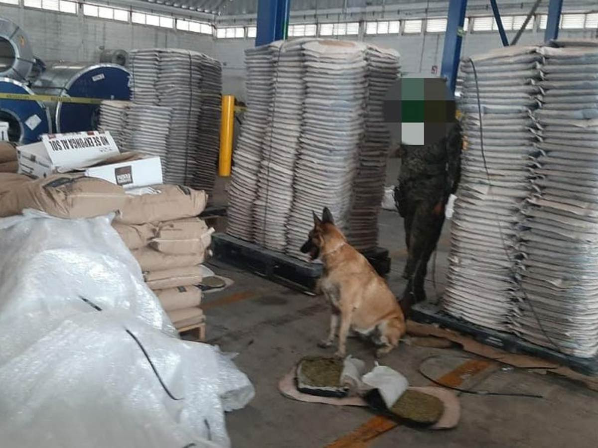 Hallan 1 tonelada de mariguana en respaldos de asientos para automóviles Hallan 1 tonelada de mariguana en respaldos de asientos para automóviles