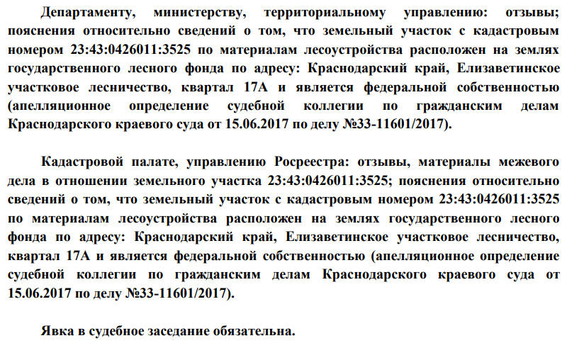 Пояснения отзыв. Судья Левченко арбитражный суд Краснодарского края.