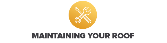 Maintaining Your Roof