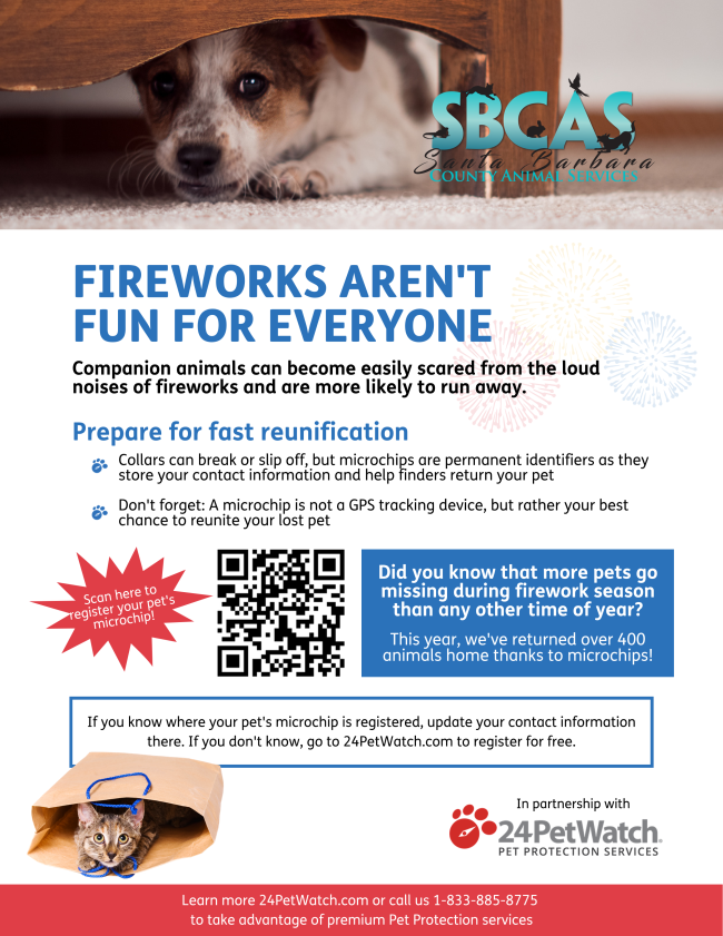 SBCAS Fourth of July Flyer