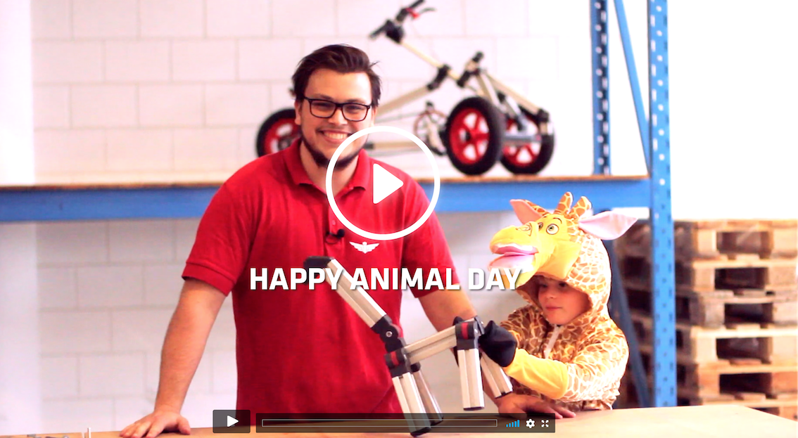 Happy Animal Day video