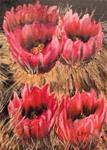 Cactus Blossom - Posted on Monday, December 22, 2014 by Charlotte Lough