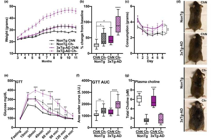 Study explores effects of dietary choline deficiency on neurologic and system-wide health